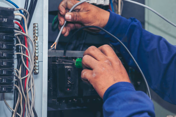 Best Home Electrical Repair  in Citronelle, AL